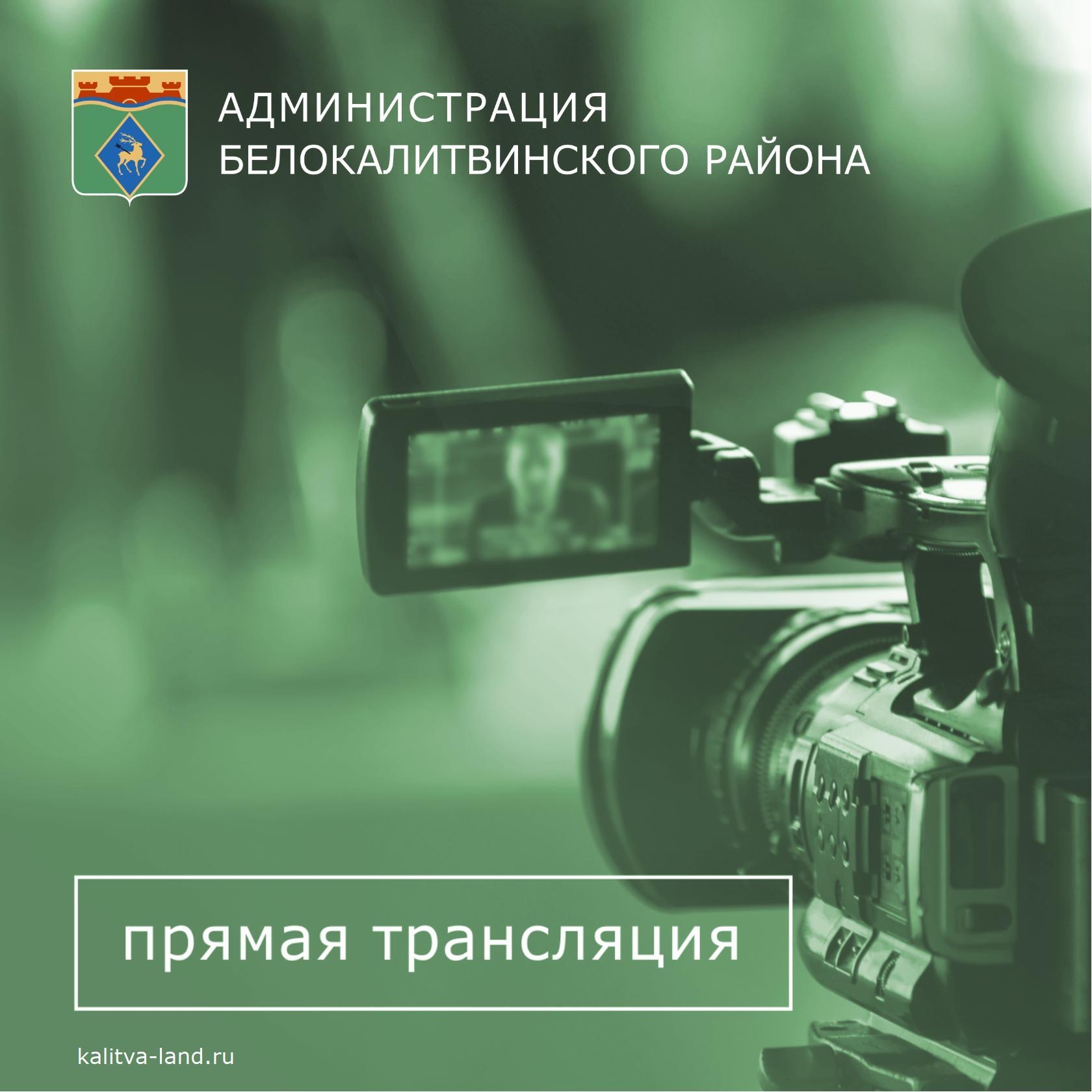 Сейчас глава администрации Белокалитвинского района Ольга Мельникова в...