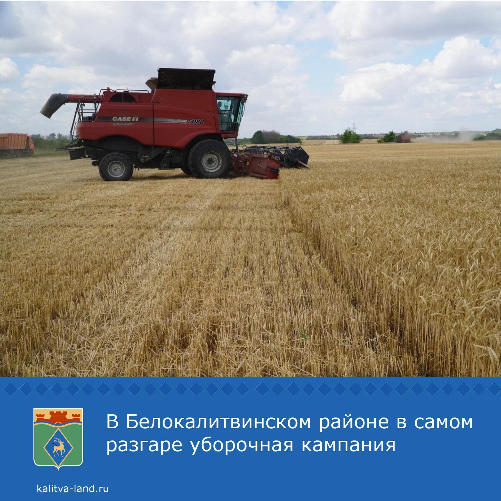  В Белокалитвинском районе продолжается уборка ранних зерновых культур. На сегодня уже собран урожай с 68 155 гектаров.